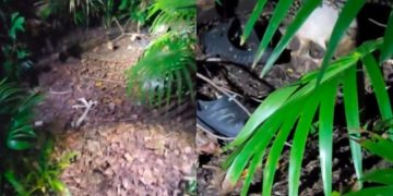 Hallan osamenta en inmediaciones del bulevar Bahía